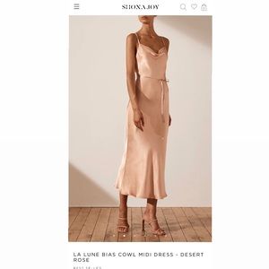 Shona Joy dress - desert rose color